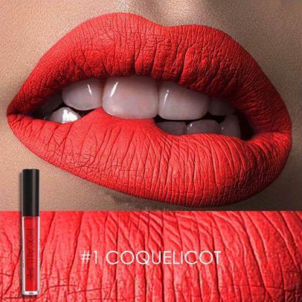 Focallure Waterproof Matte Liquid Lipstick (FA24)