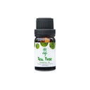 Skin Cafe Tea Tree Essential Oil